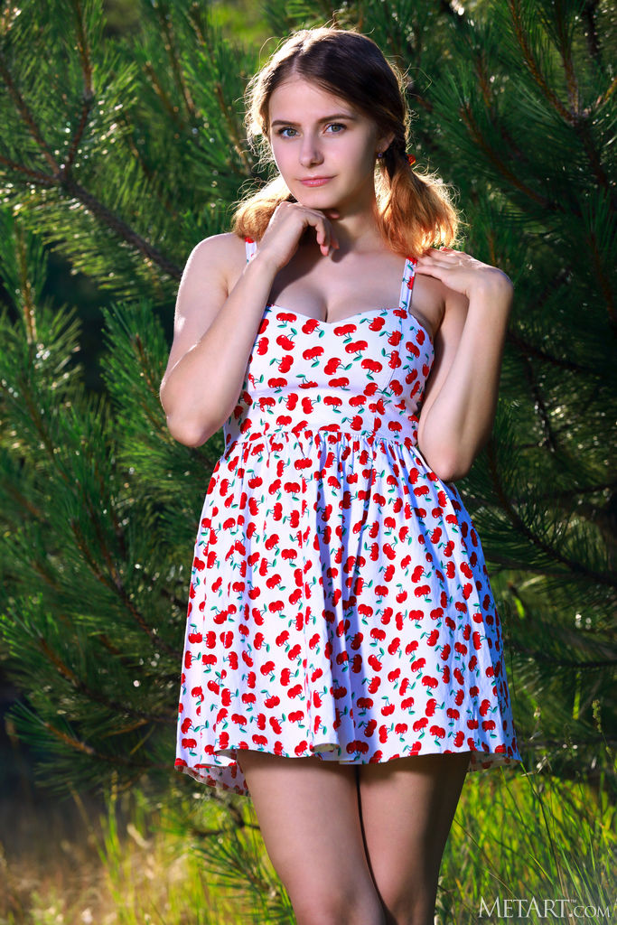  Dakota Pink Photo Collection 4 600 Includes Bonus Vids JBBooks